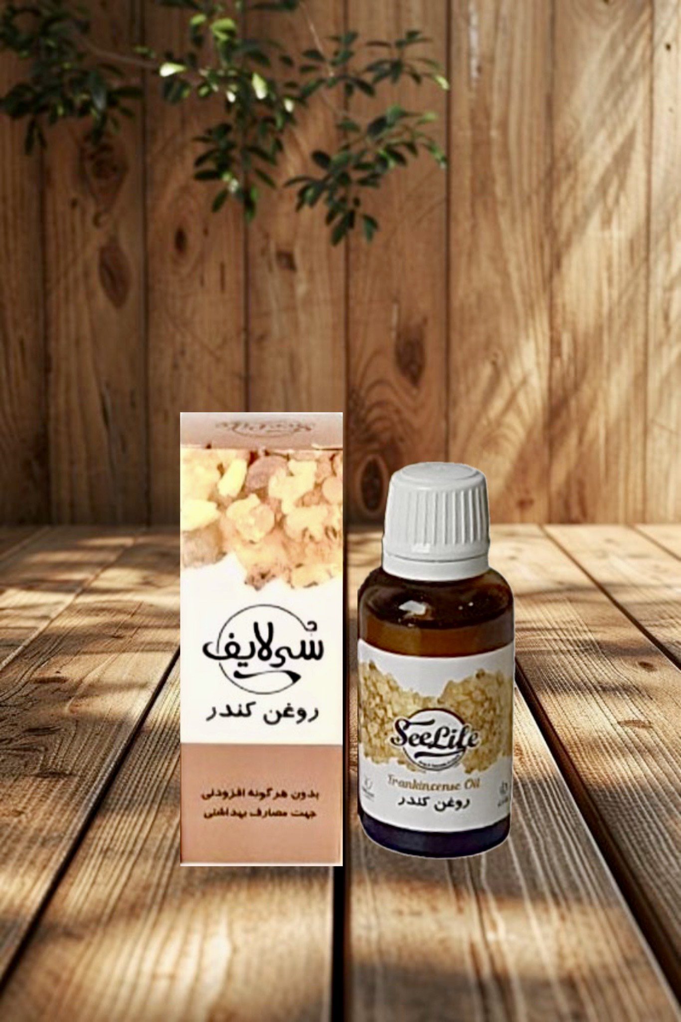 photo-output - 2025-11-15T201635.467 روغن کندر سی لایف - تصویر 1