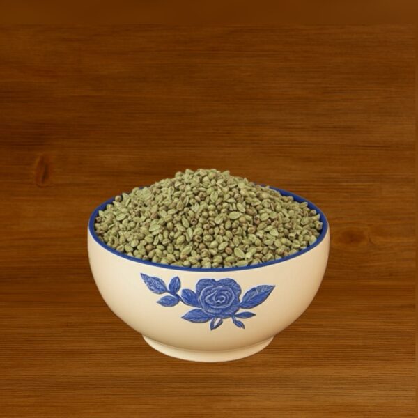 گیاه اورگانو