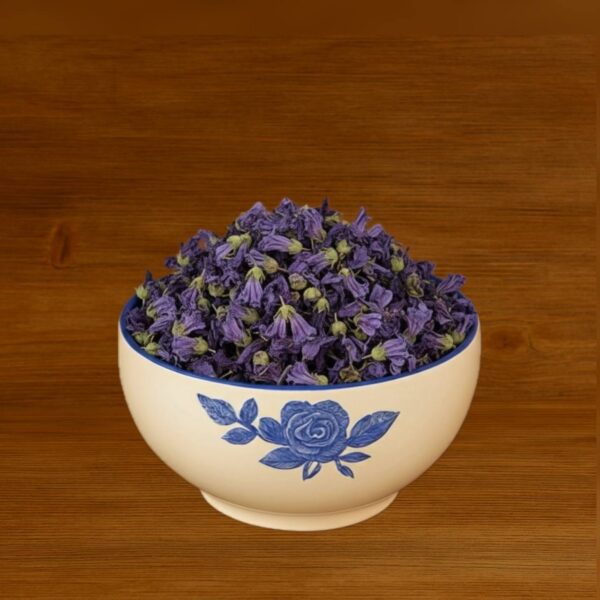 گل ختمی بنفش