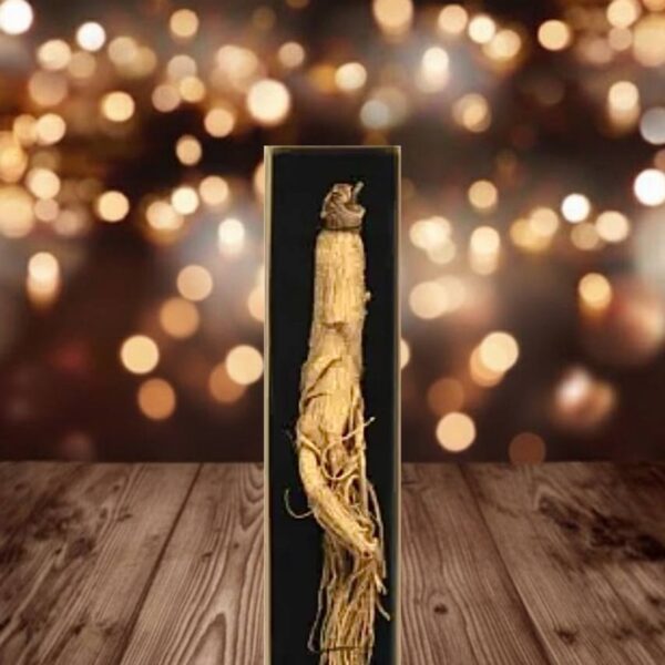 جین سینگ تک شمس