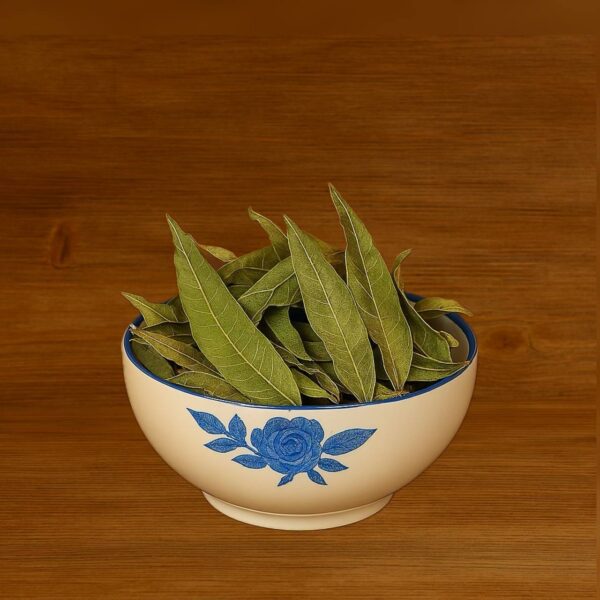 برگ انبه پاکستانی