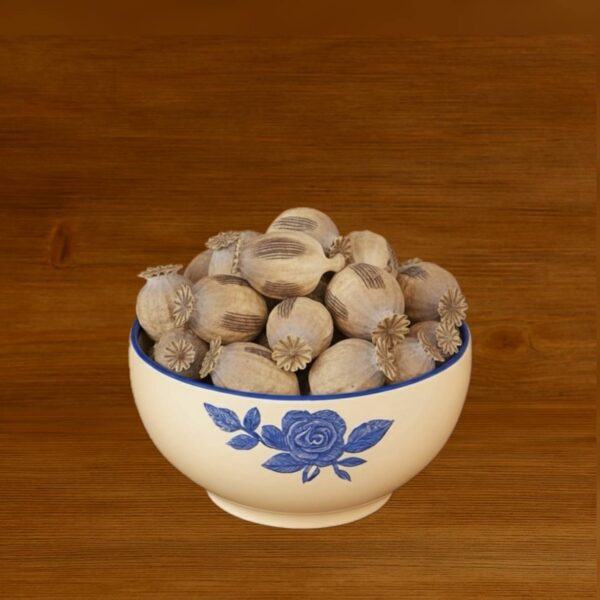 کوکنار گیاه