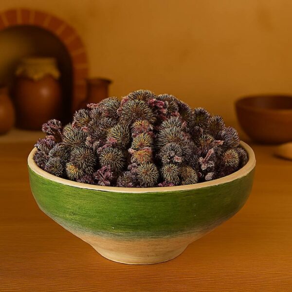 گل سرخارگل (اکیناسه)