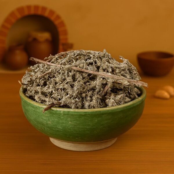 ریشه بابا آدم