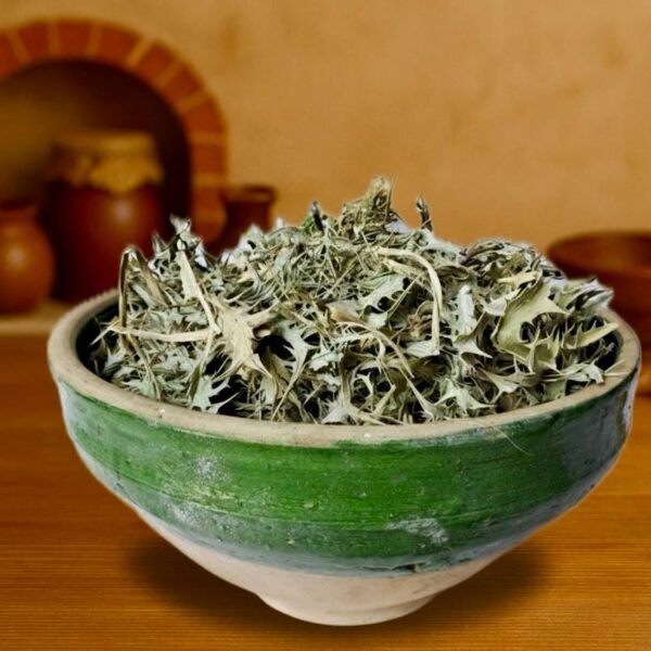 بوقناق گیاه