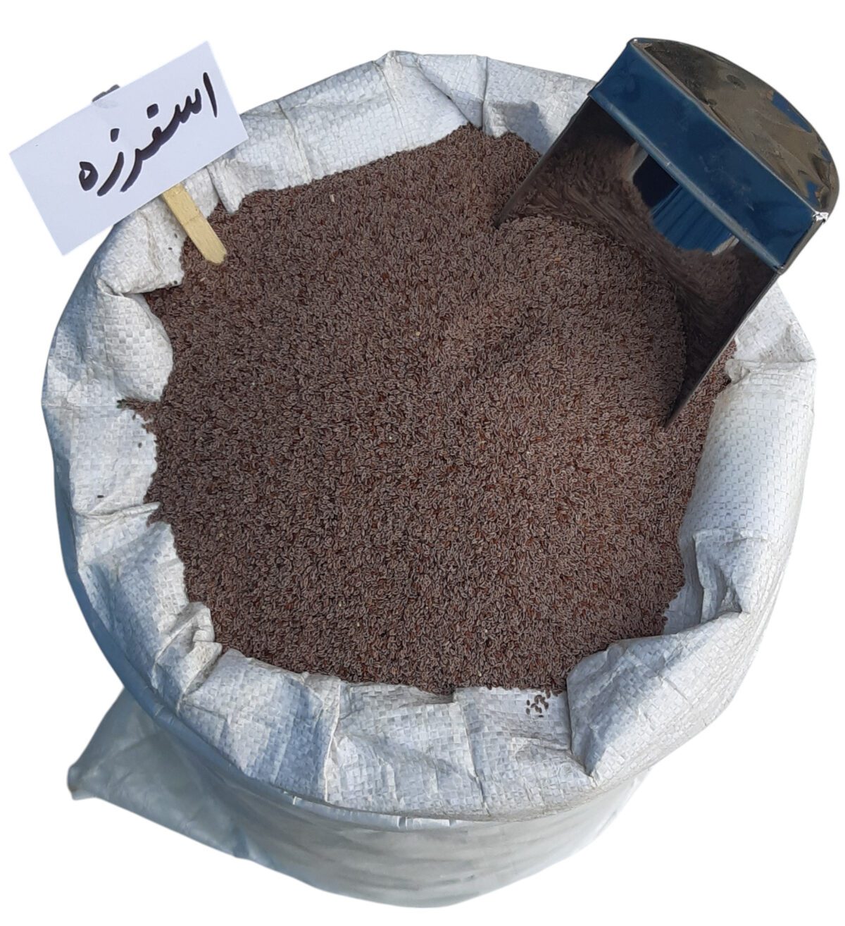 بذر اسفرزه