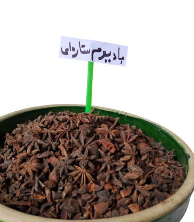 بادی.م ستاره ای