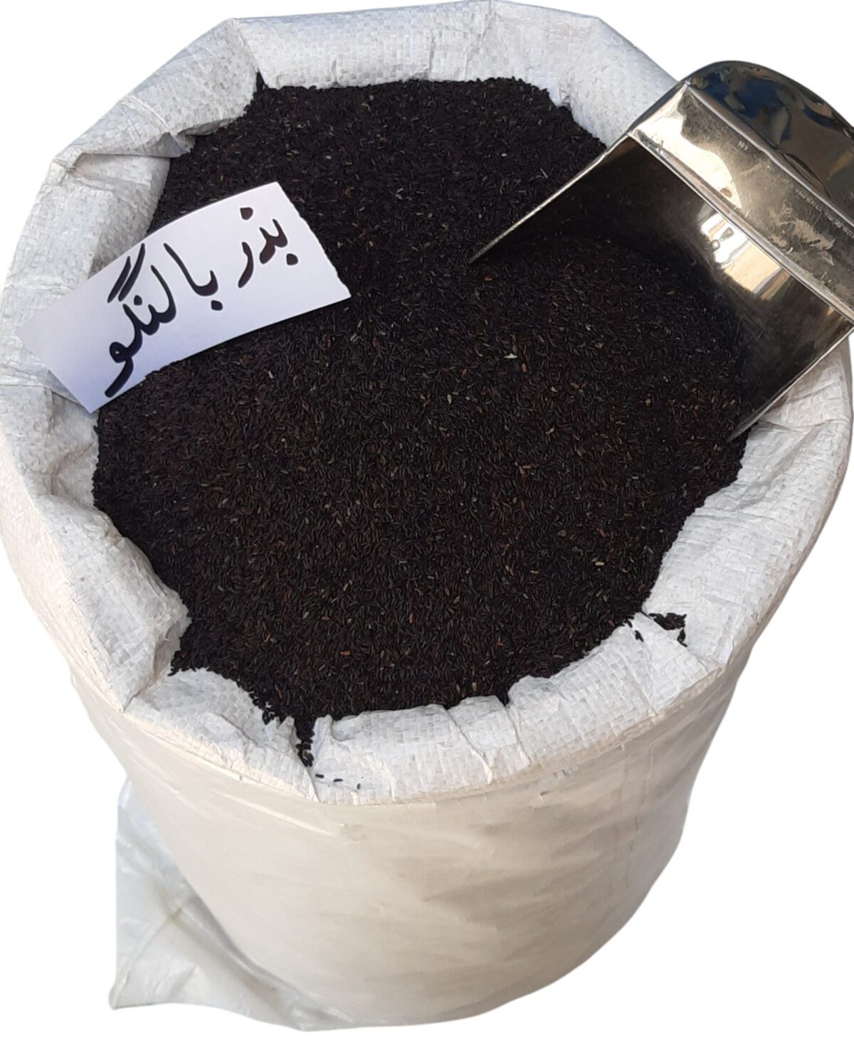 بذر بالنگو