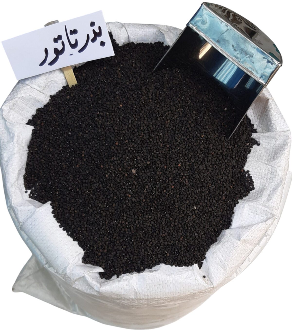 بذر تاتور