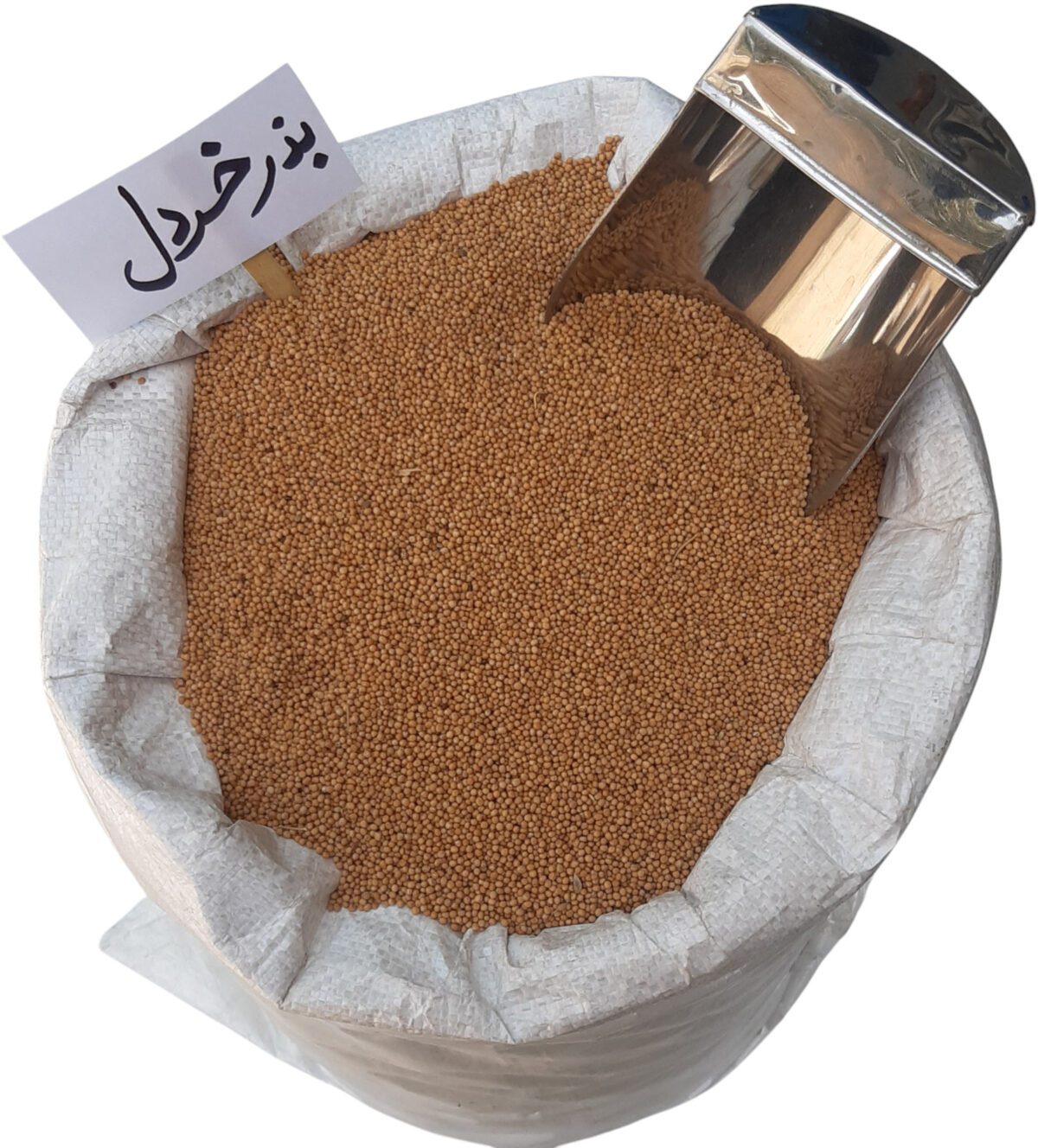 بذر خردل