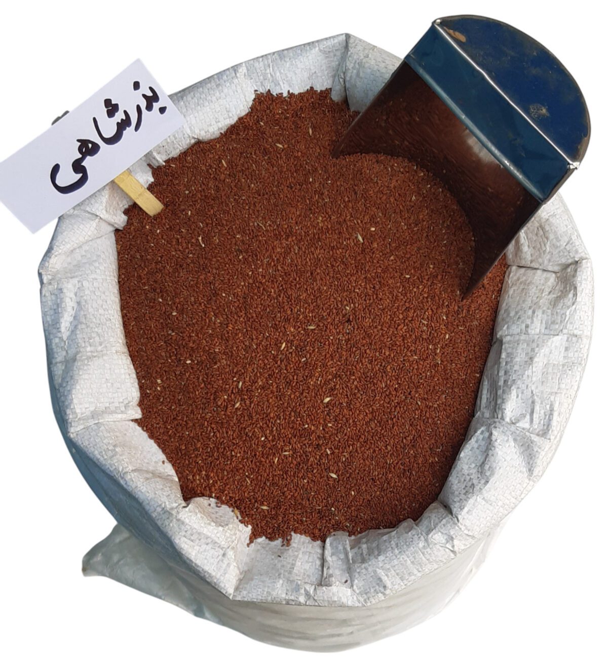 بذر شاهی