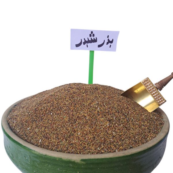 بذر شبدر