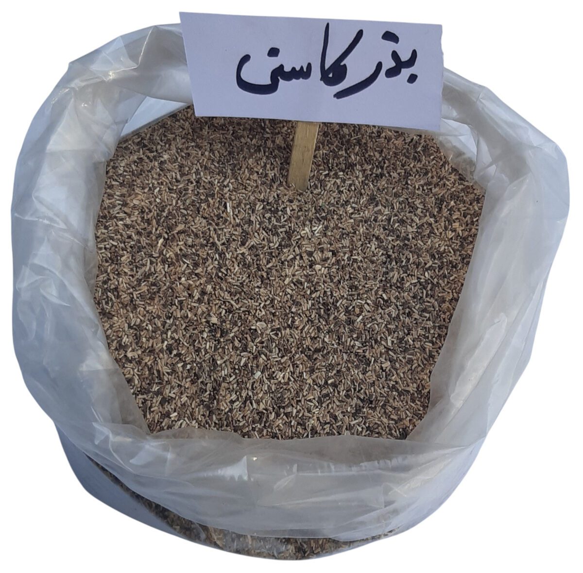 بذر کاسنی