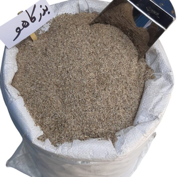 بذر کاهو