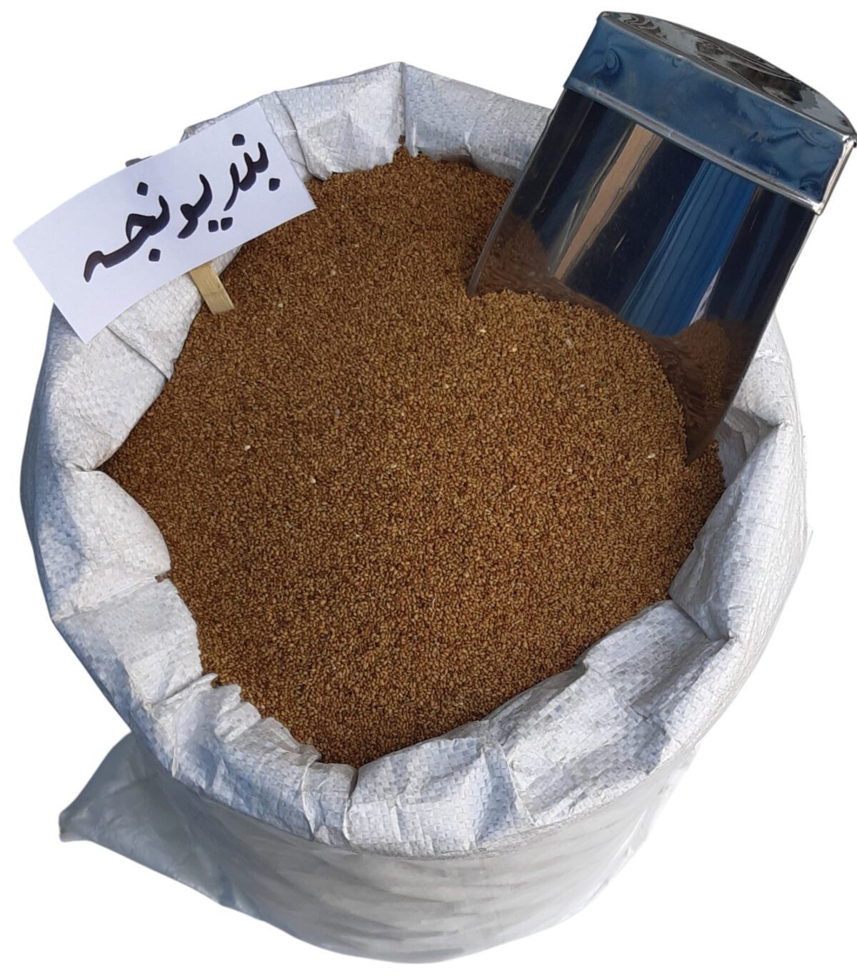 بذر یونجه