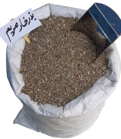 بذر خار مریم