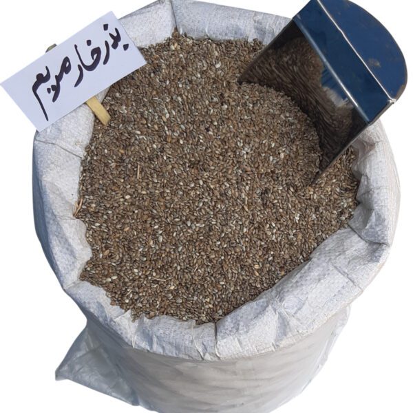 بذر خار مریم