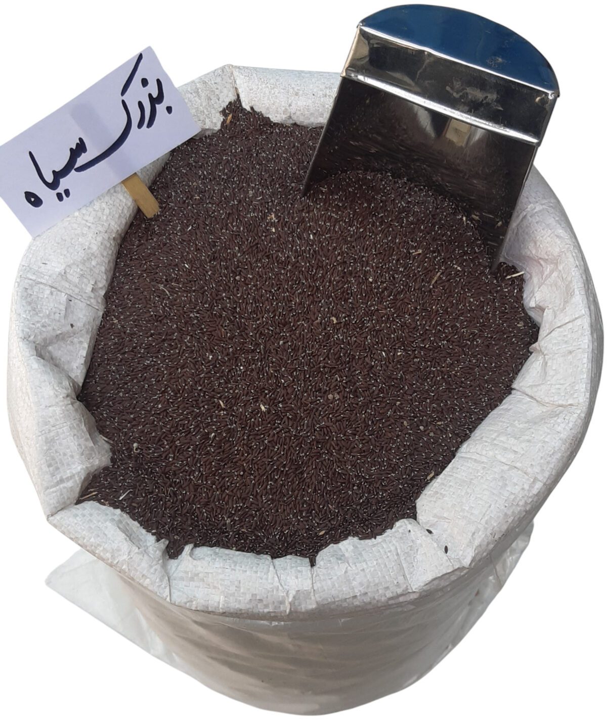 بذرک سیاه