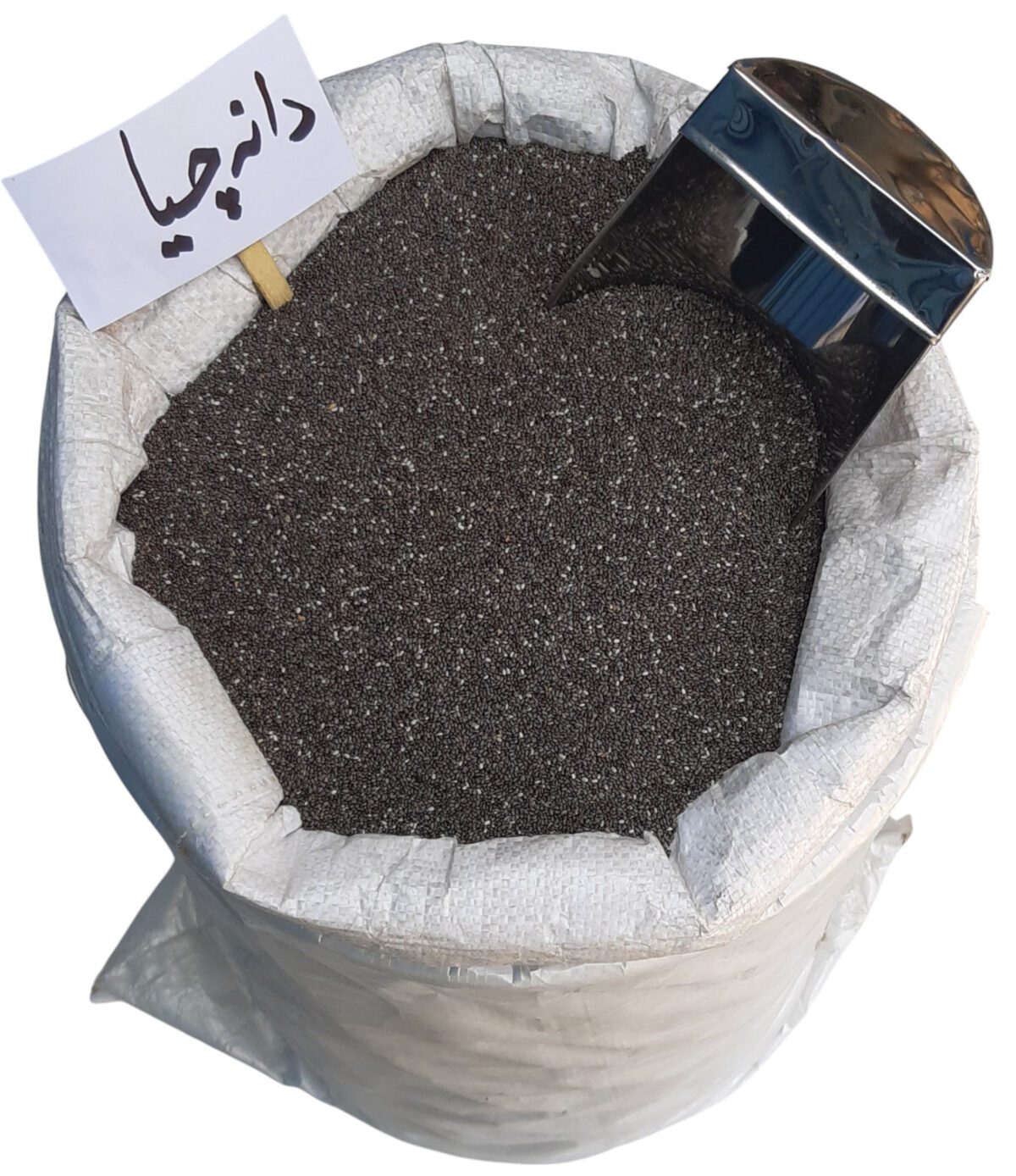 دانه چیا