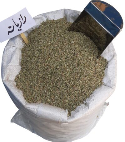 رازیانه درشت