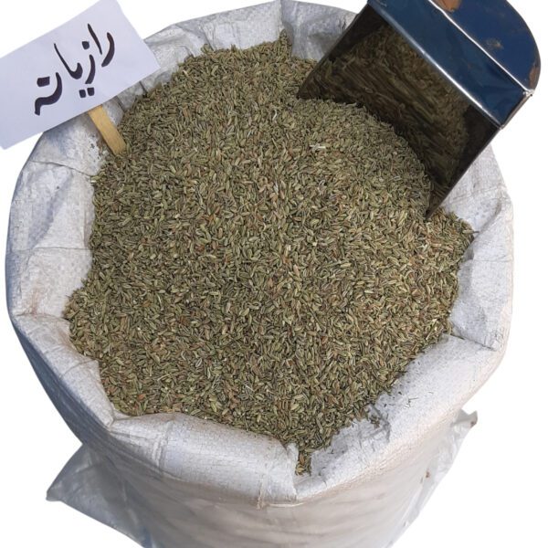 رازیانه درشت