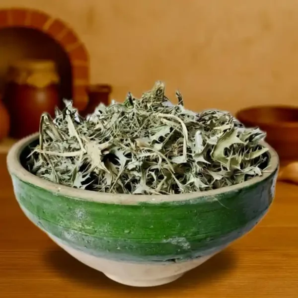 بوقناق گیاه