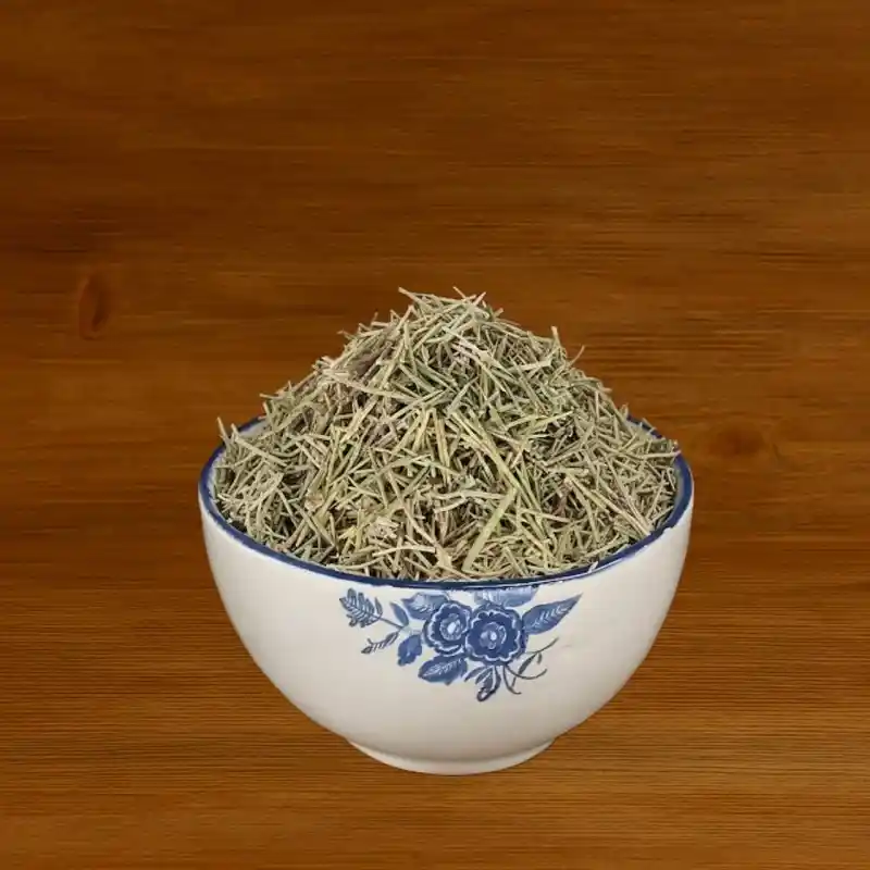 خارشتر گیاه خارشتر گیاه