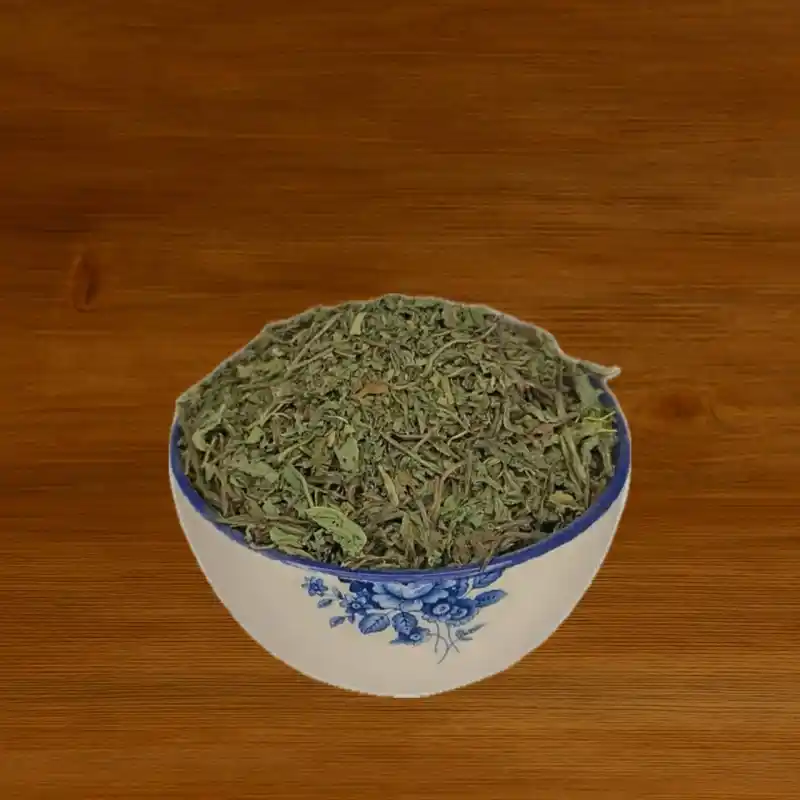 برگ کاسنی برگ کاسنی