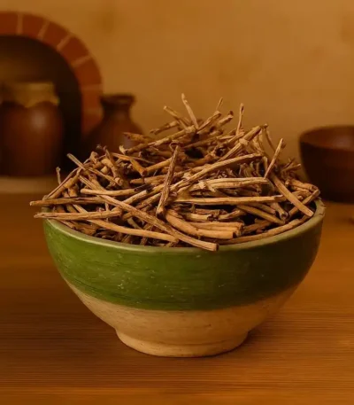 ریشه کاسنی