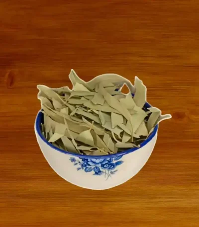 اکالیپتوس برگ