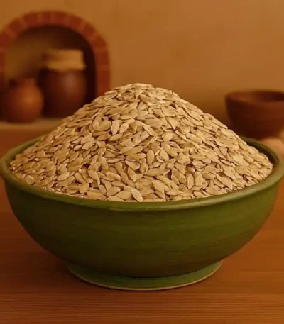 بذر خیار اصلی