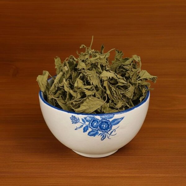برگ گزنه