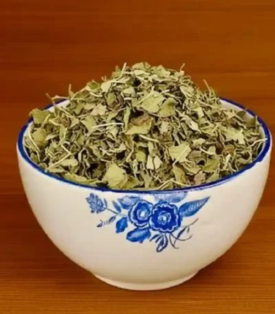 گیاه بادرنجبویه (ملیس)