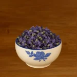 گل ختمی بنفش