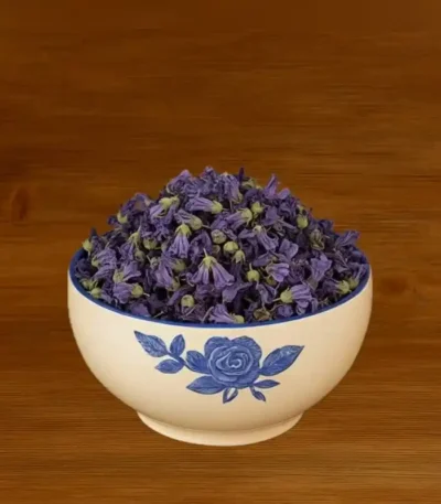 گل ختمی بنفش