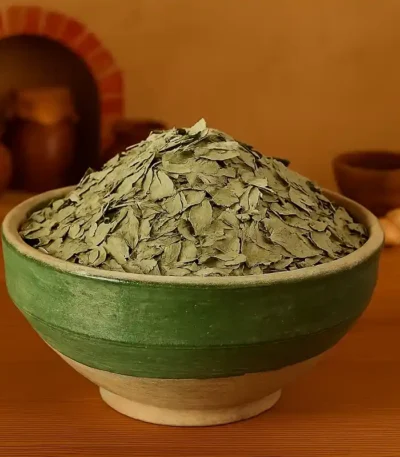 سنا برگ
