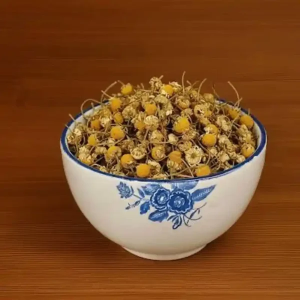 گل بابونه شیرازی