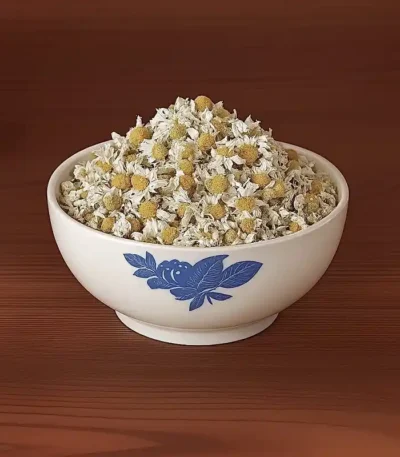 گل بابونه سفید