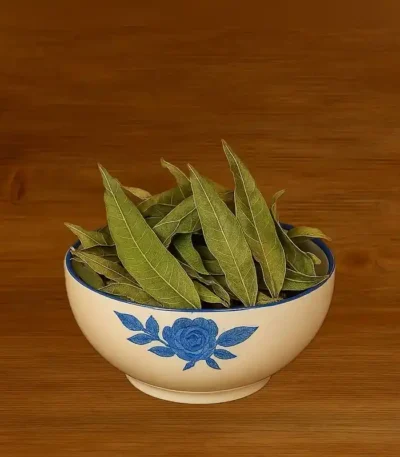 برگ انبه پاکستانی