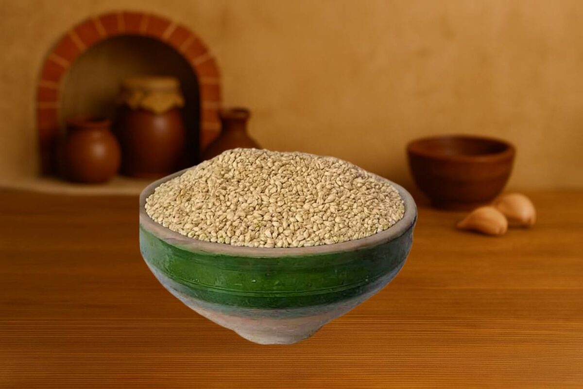 گندم حلیم - تصویر 1