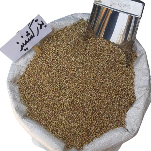 بذر گشنیز
