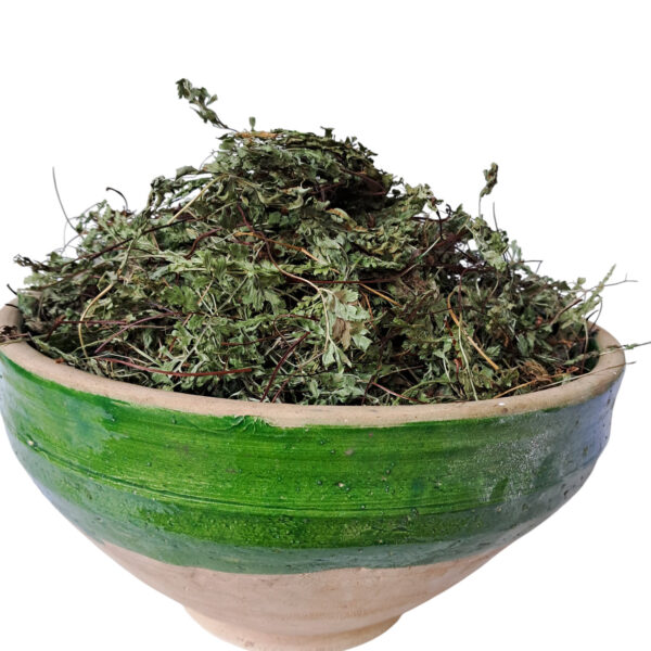پر سیاوش