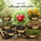 گیاهان دارویی فشار خون و قلب