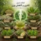گیاهان دارویی لاغری و کاهش وزن
