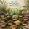 گیاهان دارویی سرماخوردگی و دستگاه تنفسی