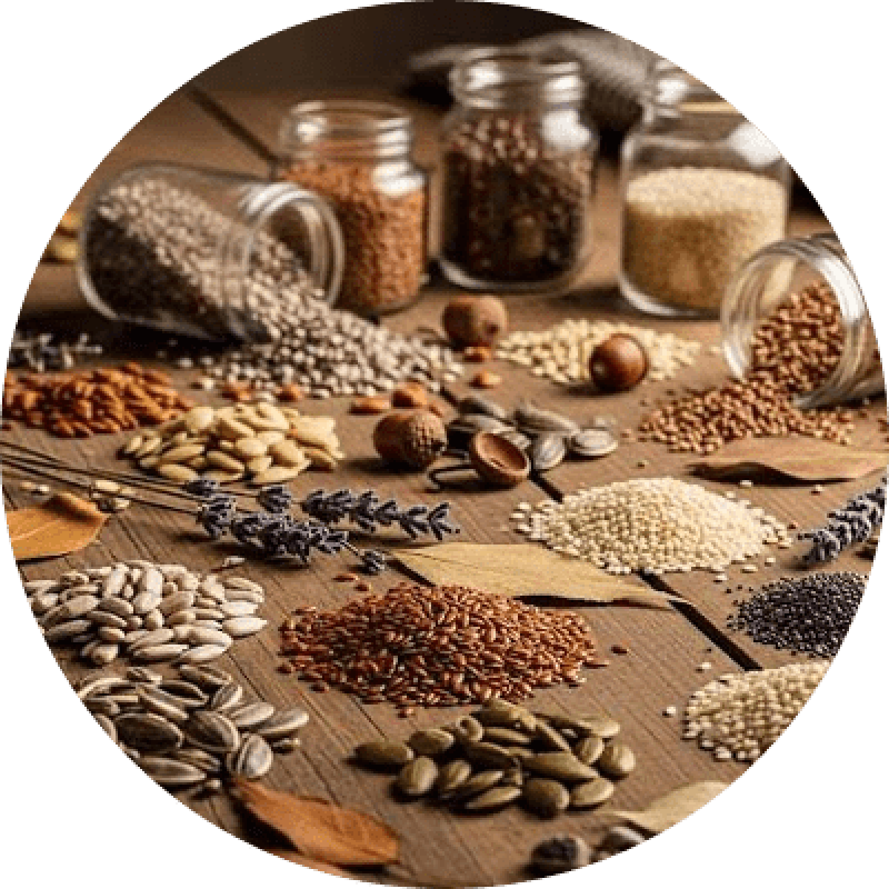 dan parandegan dan parandegan